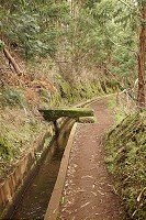 452_SS102515.jpg