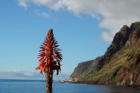 465_SS102530.jpg