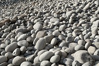 470_SS102540.jpg