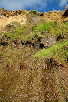 472_SS102541.jpg