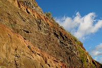 484_SS102560.jpg