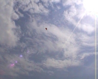 PDVD_162.jpg