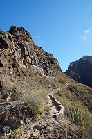 183_SS001046.jpg