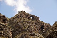 194_SS001064.jpg