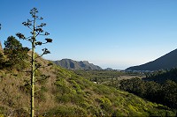 244_SS001170.jpg