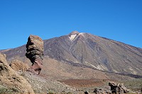 268_SS001200.jpg