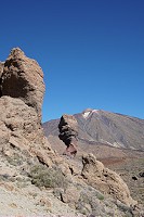 276_SS001212.jpg