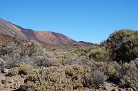 308_SS001248.jpg