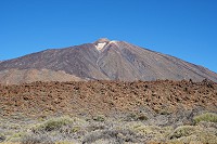 310_SS001250.jpg