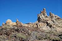 333_SS001282.jpg