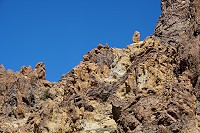 345_SS001297.jpg