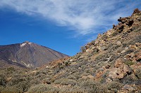 363_SS001318.jpg