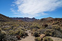 367_SS001322.jpg