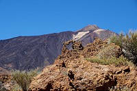 398_SS001364.jpg