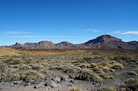 403_SS001377.jpg