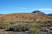 404_SS001379.jpg