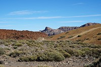 405_SS001380.jpg