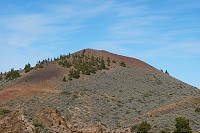 409_SS001385.jpg