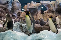 433_SS001412.jpg