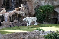 439_SS001417.jpg