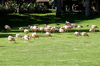 456_SS001448.jpg