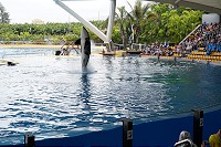 475_SS001483.jpg