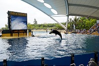 476_SS001487.jpg