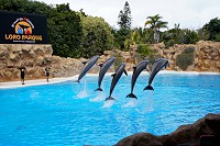 485_SS001497.jpg