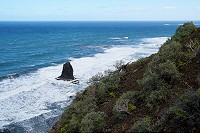 501_SS001507.jpg