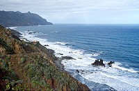 505_SS001514.jpg