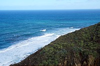 506_SS001518.jpg