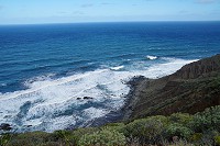 509_SS001524.jpg