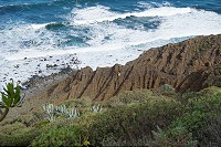 512_SS001531.jpg