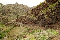 570_SS001628.jpg