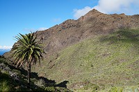 632_SS001732.jpg