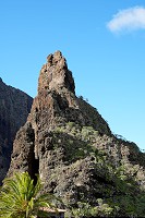 635_SS001734.jpg