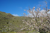 643_SS001747.jpg