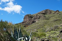 648_SS001752.jpg