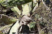 651_SS001757.jpg