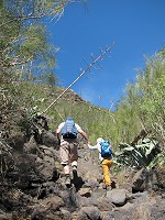 659_IMG_1537.jpg