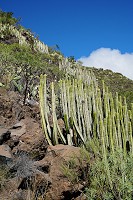 667_SS001770.jpg