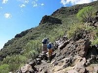 668_IMG_1545.jpg