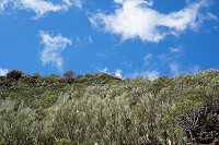 678_SS001784.jpg