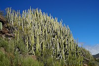 687_SS001794.jpg