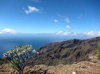 707_IMG_1579.jpg