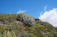 721_SS001839.jpg