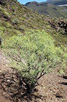 724_SS001848.jpg