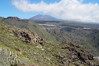 725_SS001849.jpg