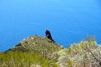 727_SS001854.jpg