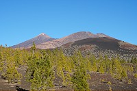 741_SS001880.jpg